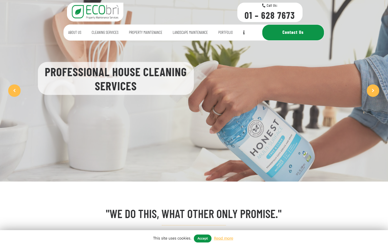 view of the Ecobri website