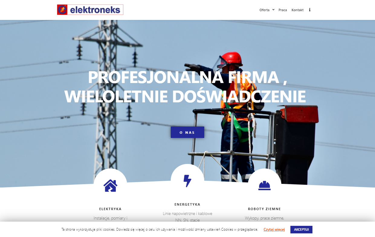 view of the Elektroneks website