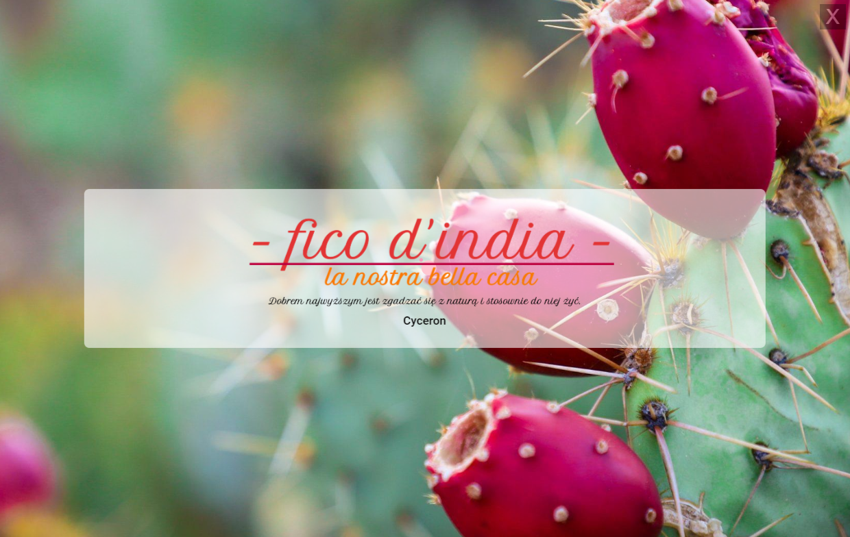 view of the Fico d'india website