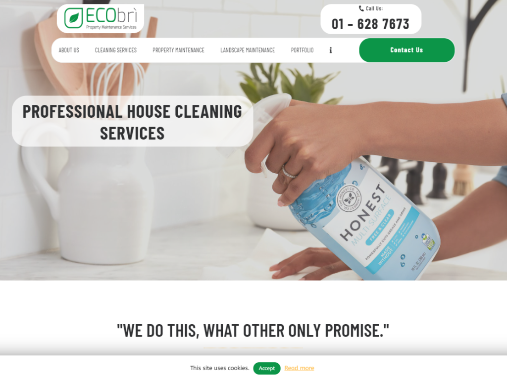 view of the Ecobri website