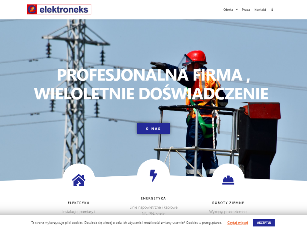 view of the Elektroneks website